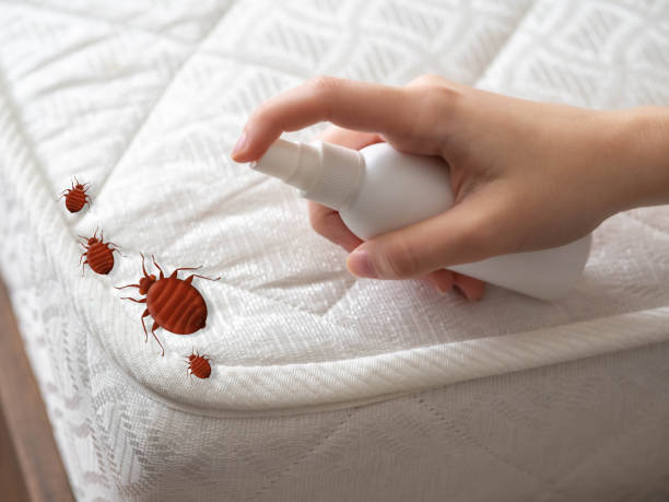 Real Estate Pest Inspections in Sonora, TX